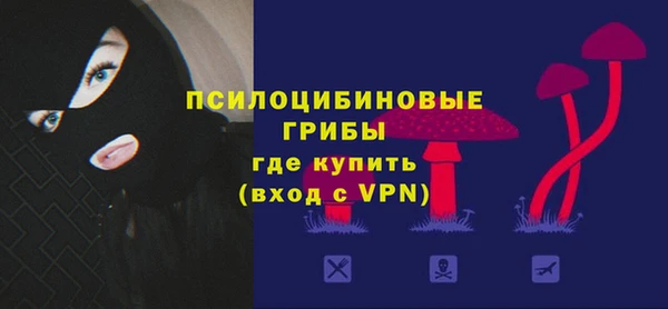 Альфа ПВП Алексин