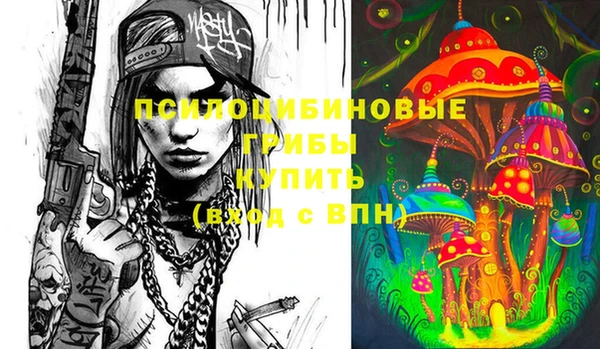 дмт Баксан