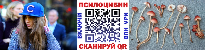 Псилоцибиновые грибы MAGIC MUSHROOMS  Пошехонье 